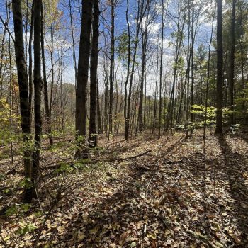 20251012192038236387000000-o