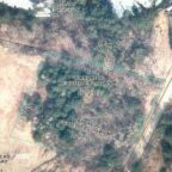 20260223155959864972000000