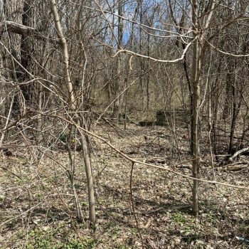 20260312192926065373000000-o